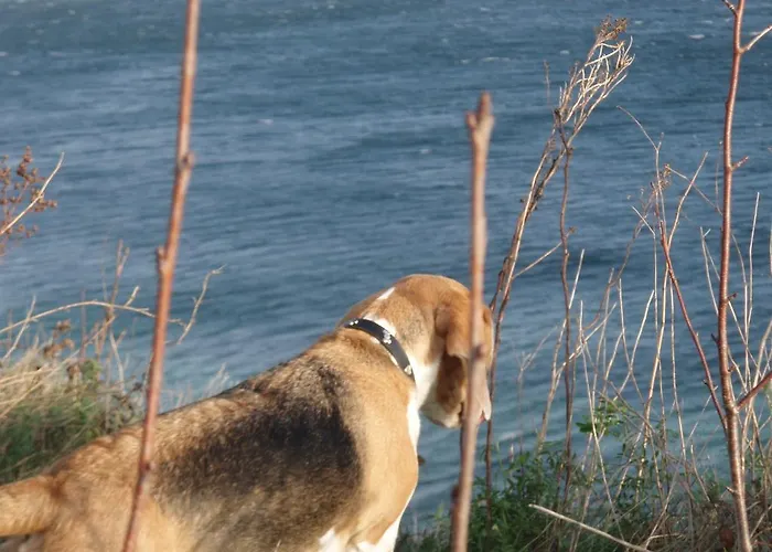 아파트 Auf Ruegen